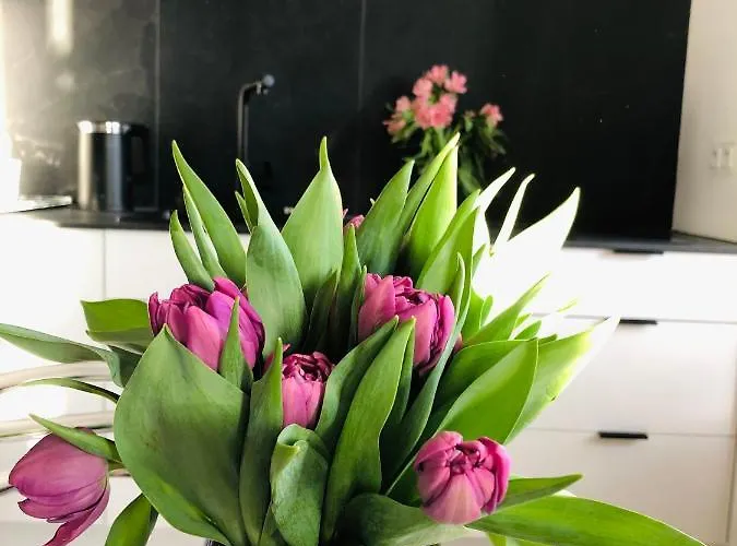 Piper Dworzec & Targi * Poznań