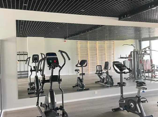 Piper Dworzec & Targi Apartment Poznan